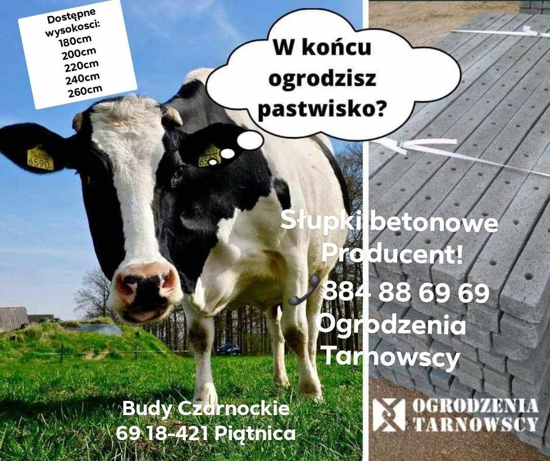 Słupki betonowe pastwisko siatki leśnej  słupek betonowy