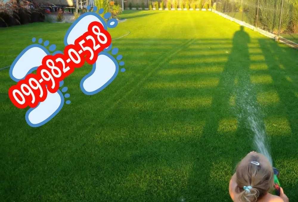 Газонна трава Дитячі П'ЯТОЧКИ низькорослий ліліпут газон авторський