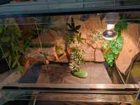 Terrarium 30x40x60 z podświetleniem LED