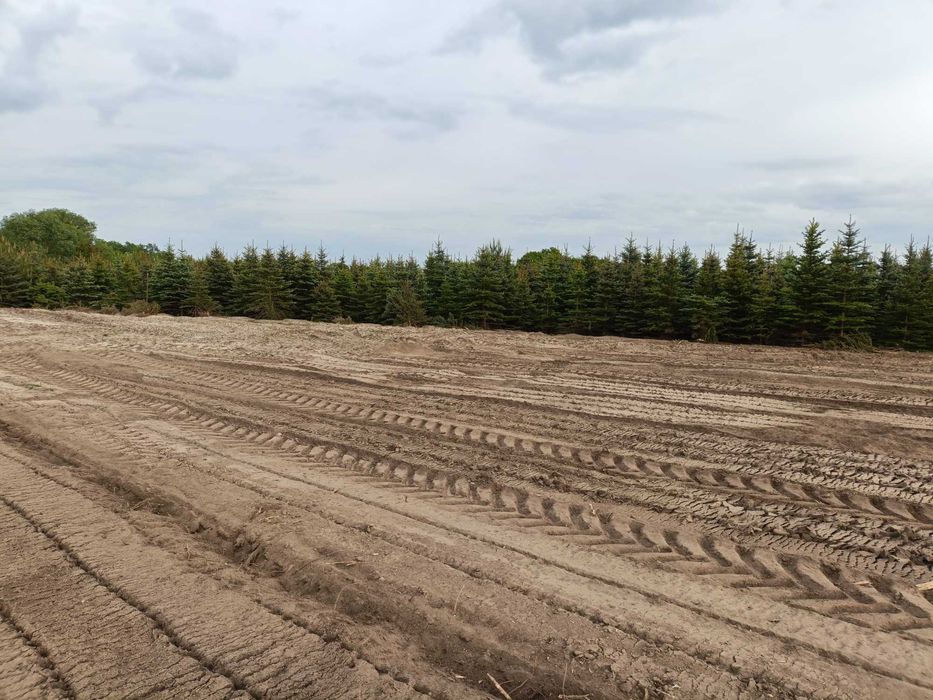 Rekultywacja, Mulczer, Wycinka, Karczowanie, Wgłębny, Koszenie