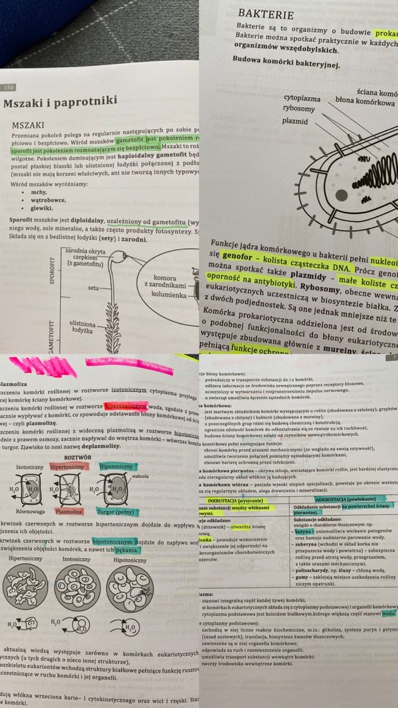 Biologia Biomedica