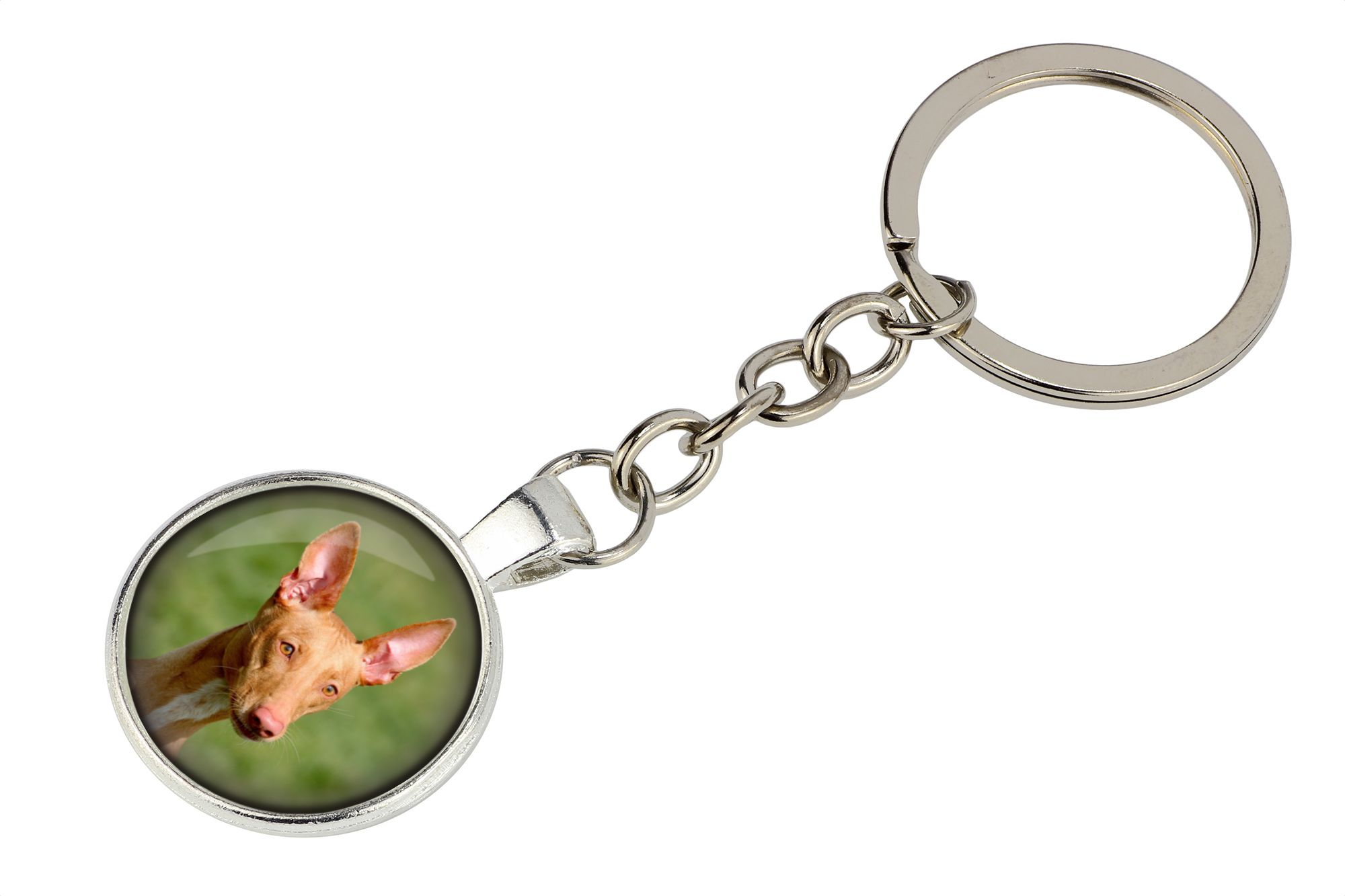 Pies faraona brelok w pudełku ze zdjęciem Art-Dog
