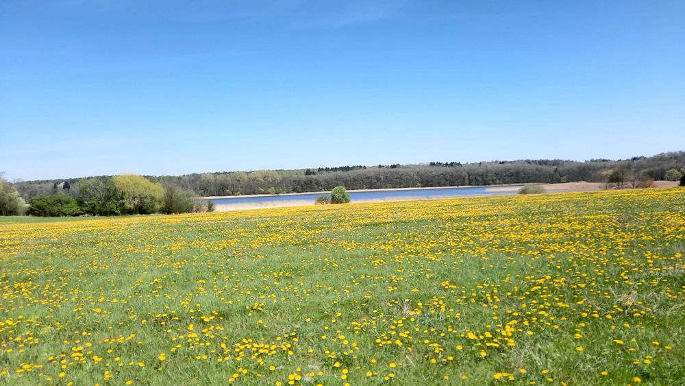 Działki rekreacyjne nad jeziorem z dostępem do plaży