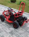 Quad, buggy, gokard.  automat .