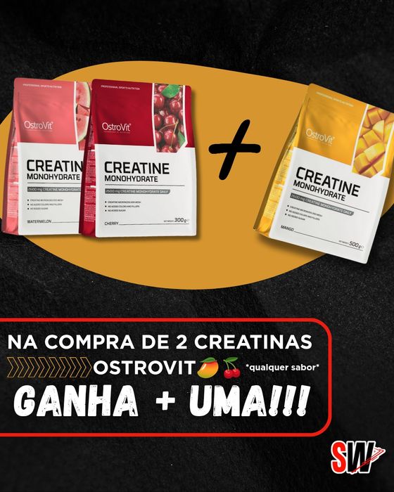 Creatina com sabor 300gr promoção