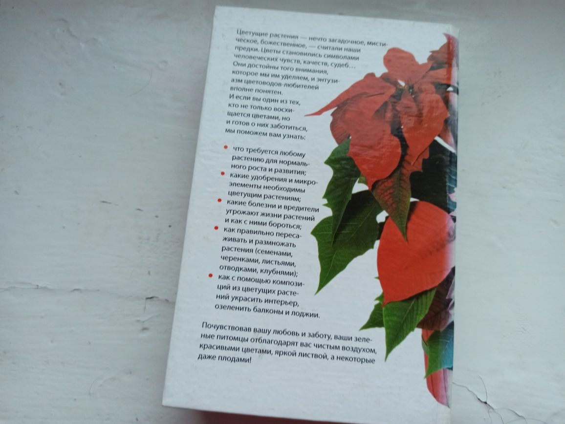 Книга энциклопедия комнатного цветоводства квіти цветы
