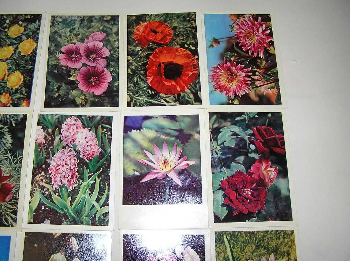 Stare pocztówki radzieckie 13 sztuk, kwiaty 1967