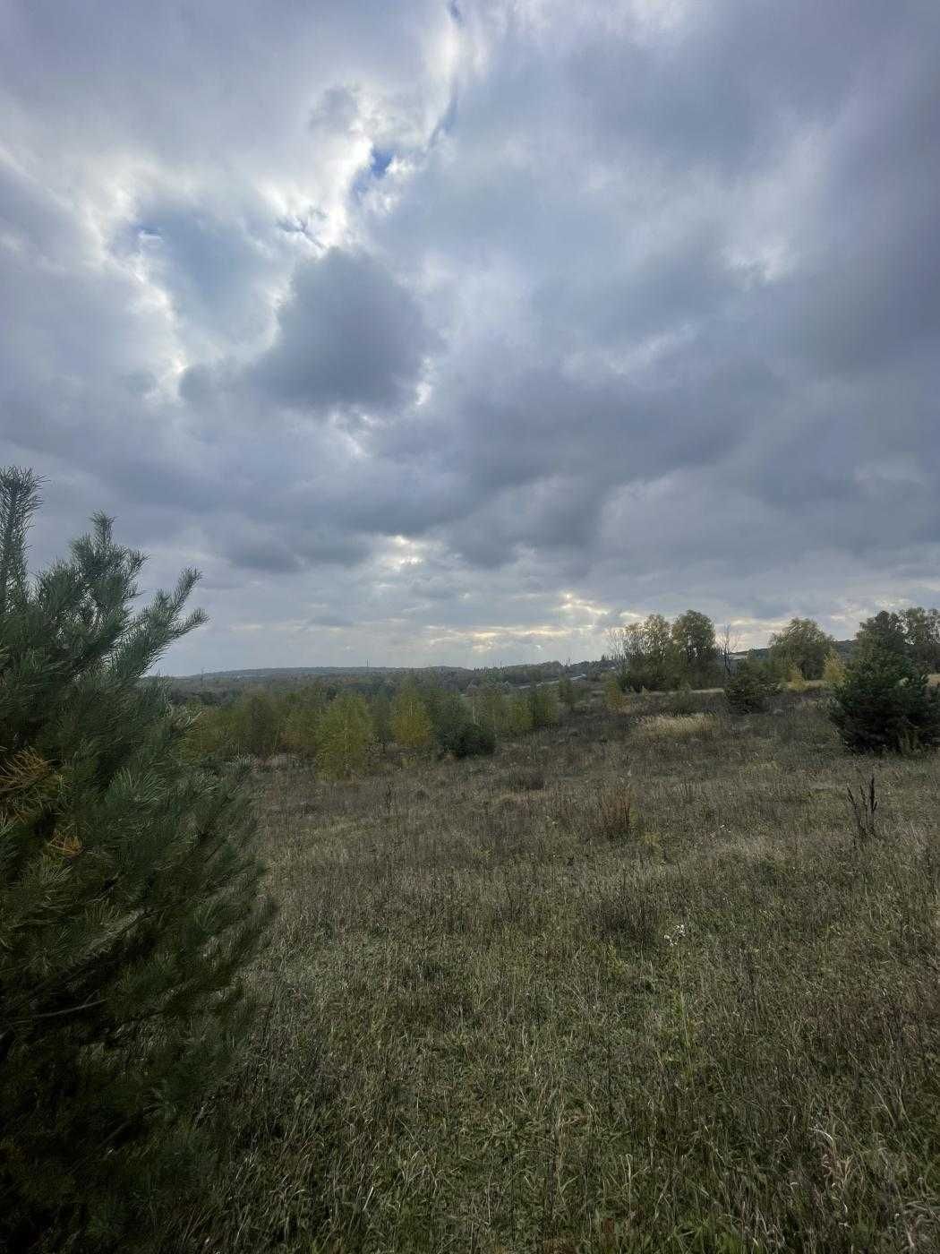 Земельна ділянка в Лісових Гринівцях