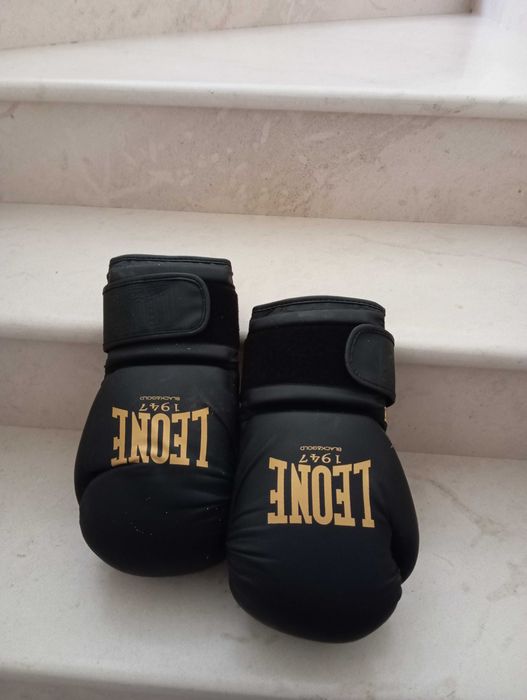 2 pares de luvas de boxe