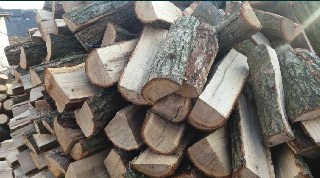 Продам дрова разних порід.