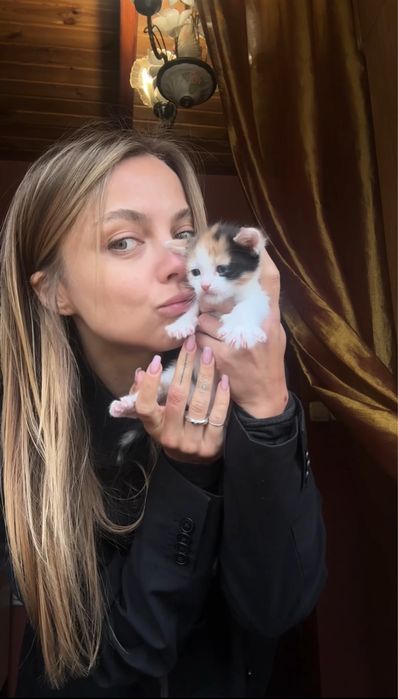 Кішка та котеня (дівчинка)