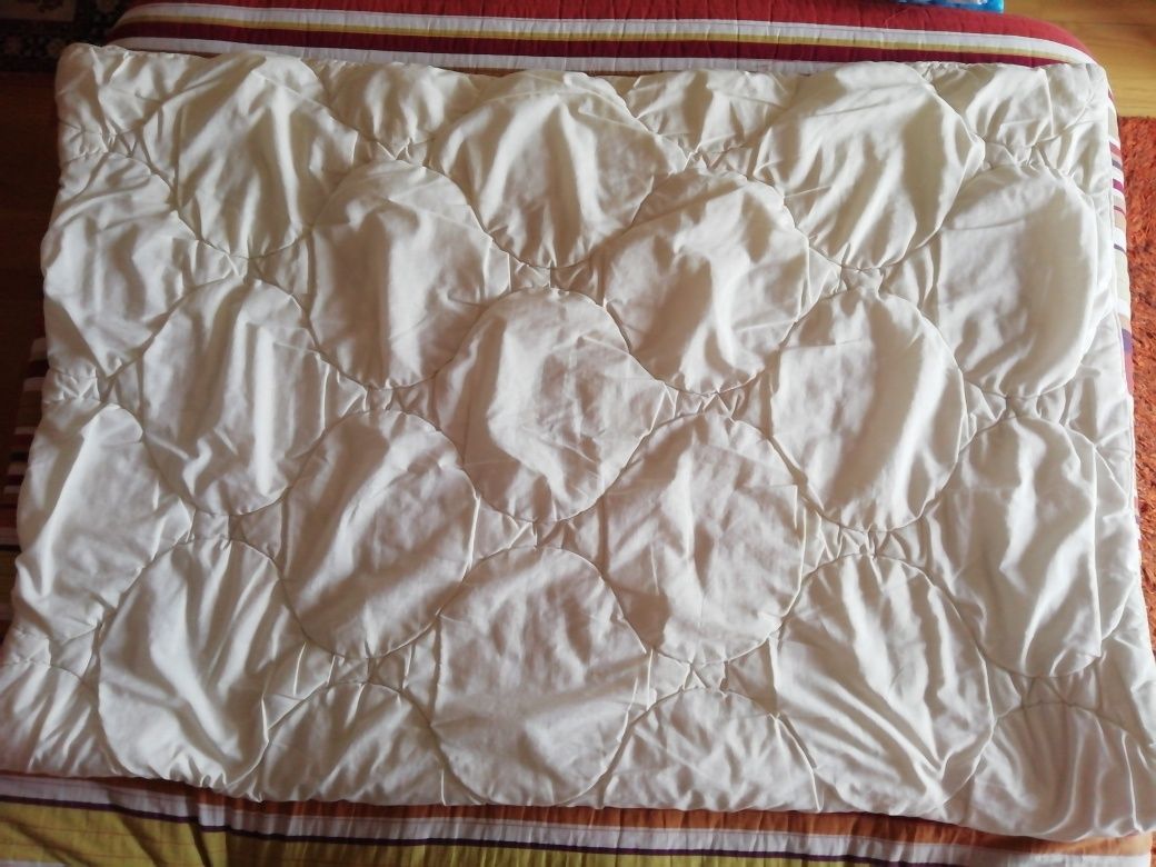 1 Edredão  1,90x1,35 com 2 capas