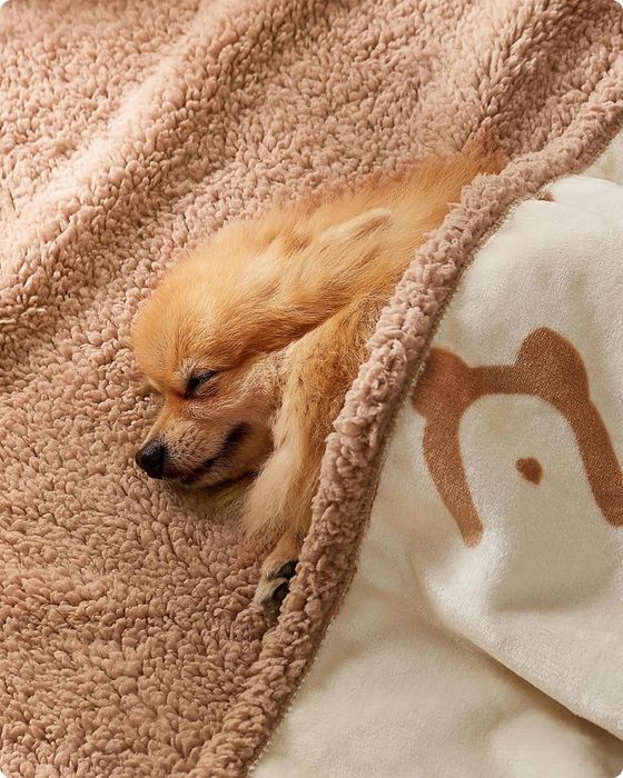 Feandrea Wodoodporny koc dla zwierząt domowych 101 x 73 cm