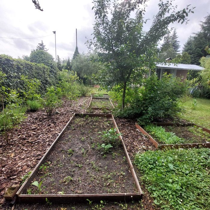 Sprzedam działkę ROD Urodzaj 3, odrębne wejście od strony rzeki Warty