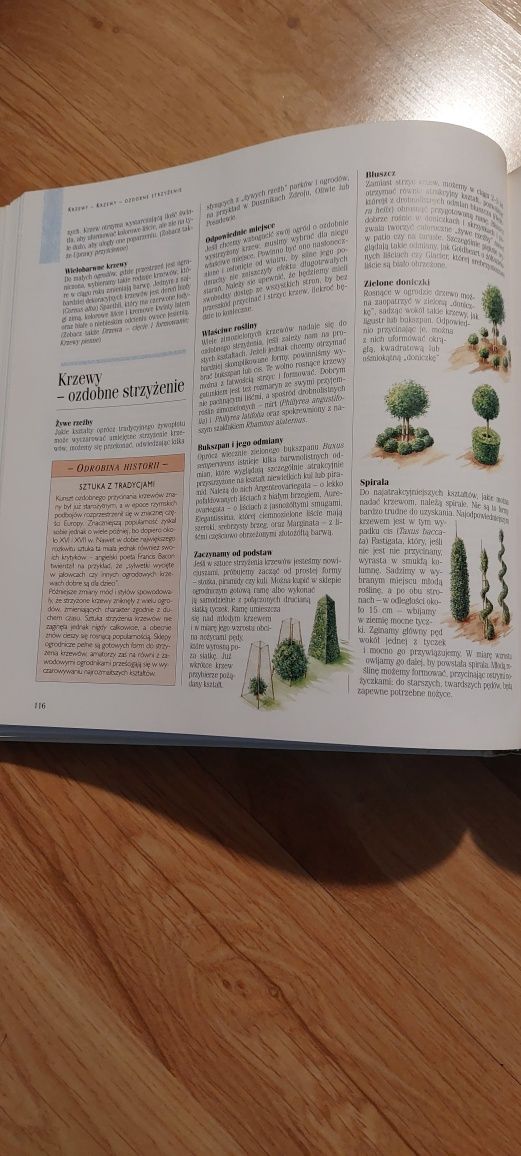 1001 sposobów na piękny ogród-poradnik Reader's Digest