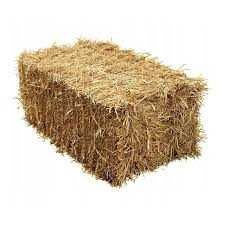 Słoma owsiana zbiór 2025