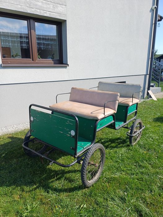 Koń bryczka dla kucyka