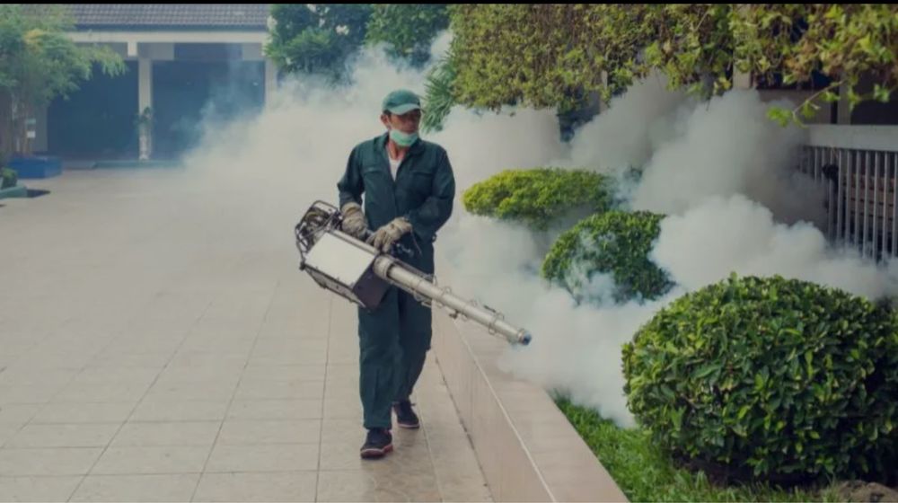 Deratyzacja Dezynsekcja Pluskwy Prusaki Komary Odgrzybianie Ozonowanie