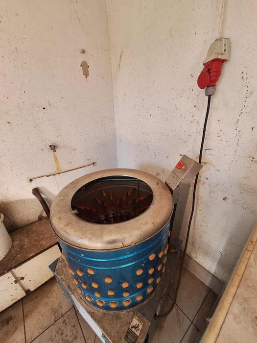 Skubarka do drobiu (na siłę)