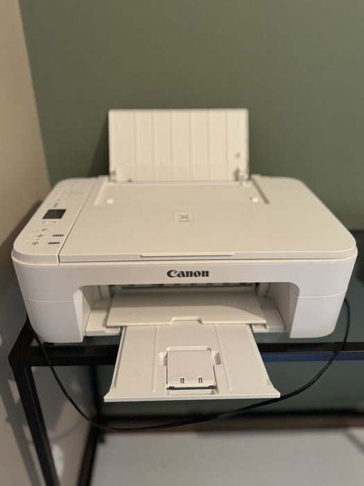 Printer Canon TS3300