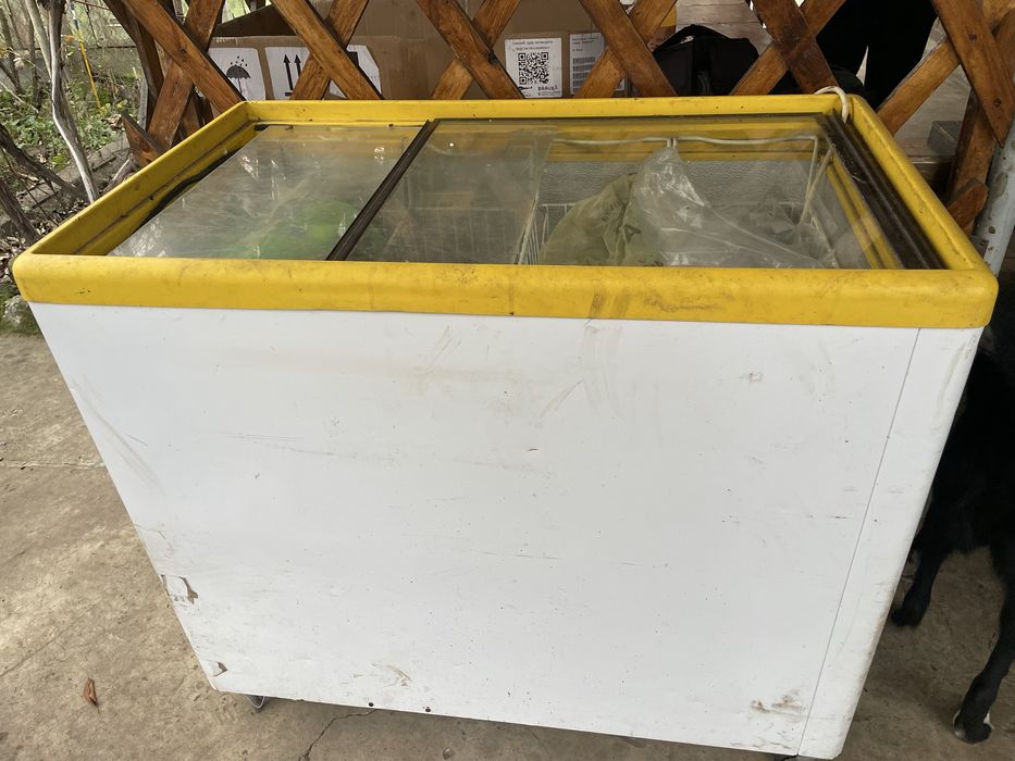 Морозильна камера скриня