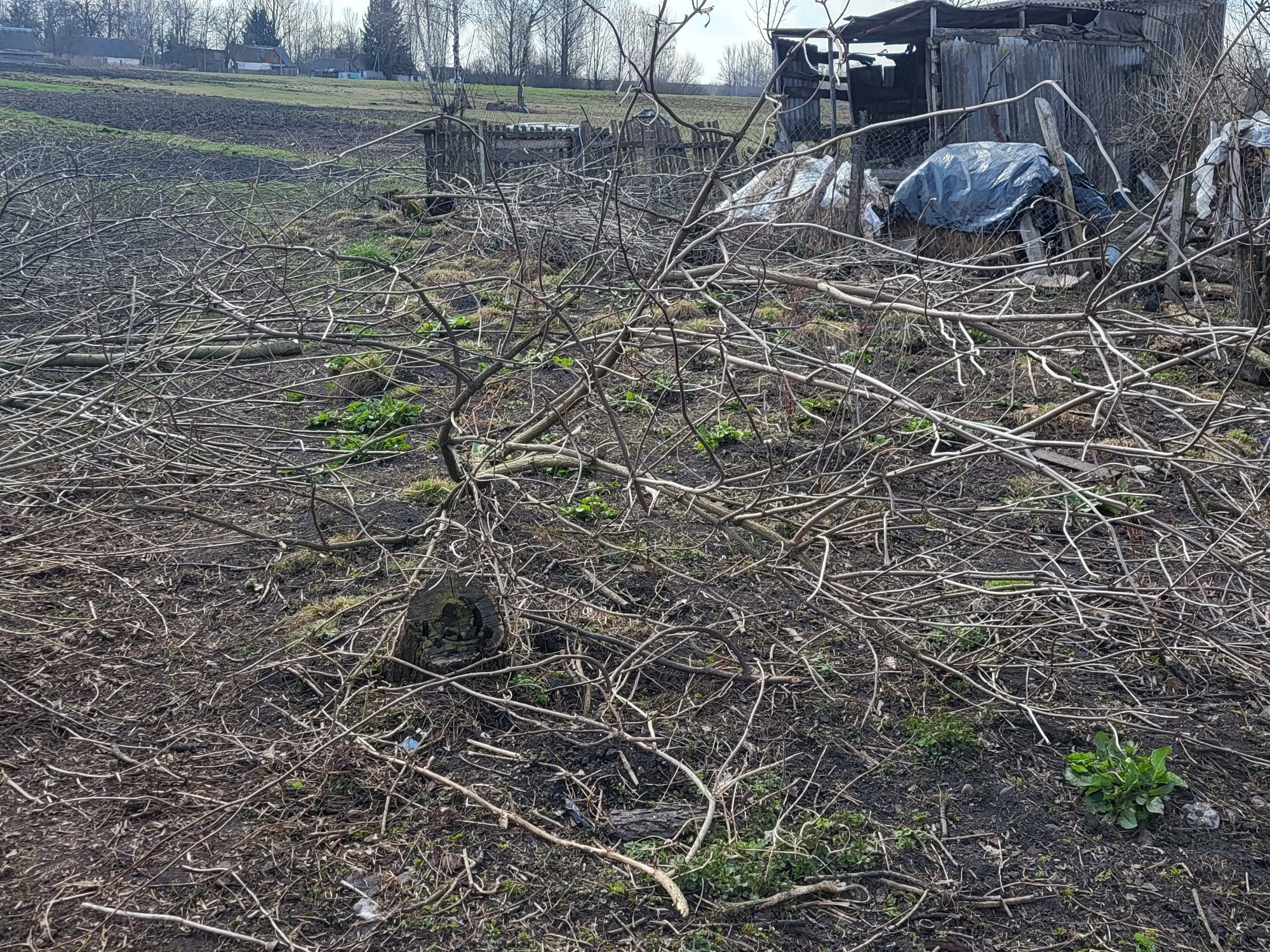 Продам ДУУЖЕ  дешево,будинок на землі,с.Врублівка(55км від Житомира
