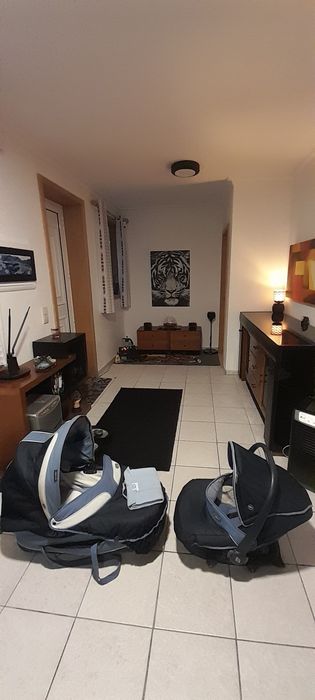 Alcofa e um ovo para bébé