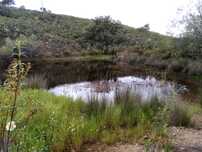 Vende-se terreno com barragem junto à estrada em Corte Serrano, 5456m2