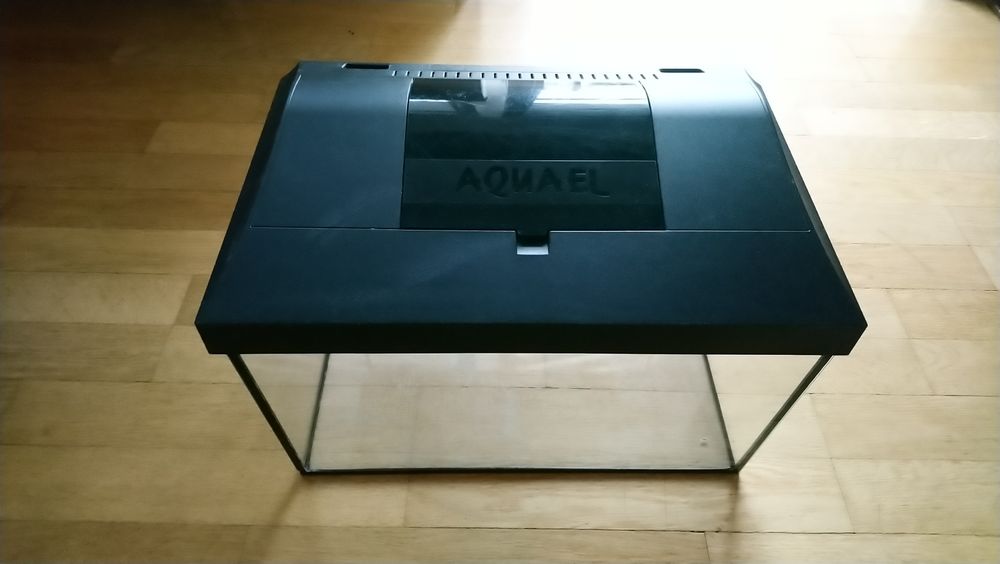 Akwarium w dobrym stanie