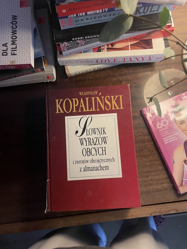 Slownik wyrazow obcych Władysław Kopalinski