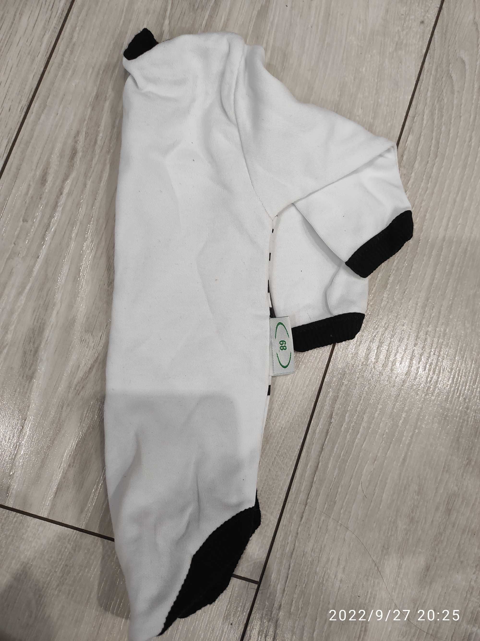 Nowe body 68 kot kotek