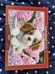 Castorland Puzzle 500 Pup in pink flowers