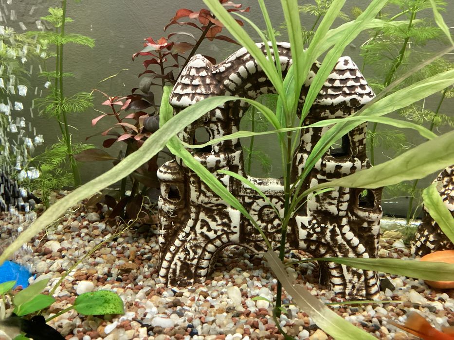 Zamek z murami ozdoba do akwarium