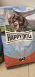 Happy Dog Sensible Puppy z łososiem i ziemniakiem 4kg