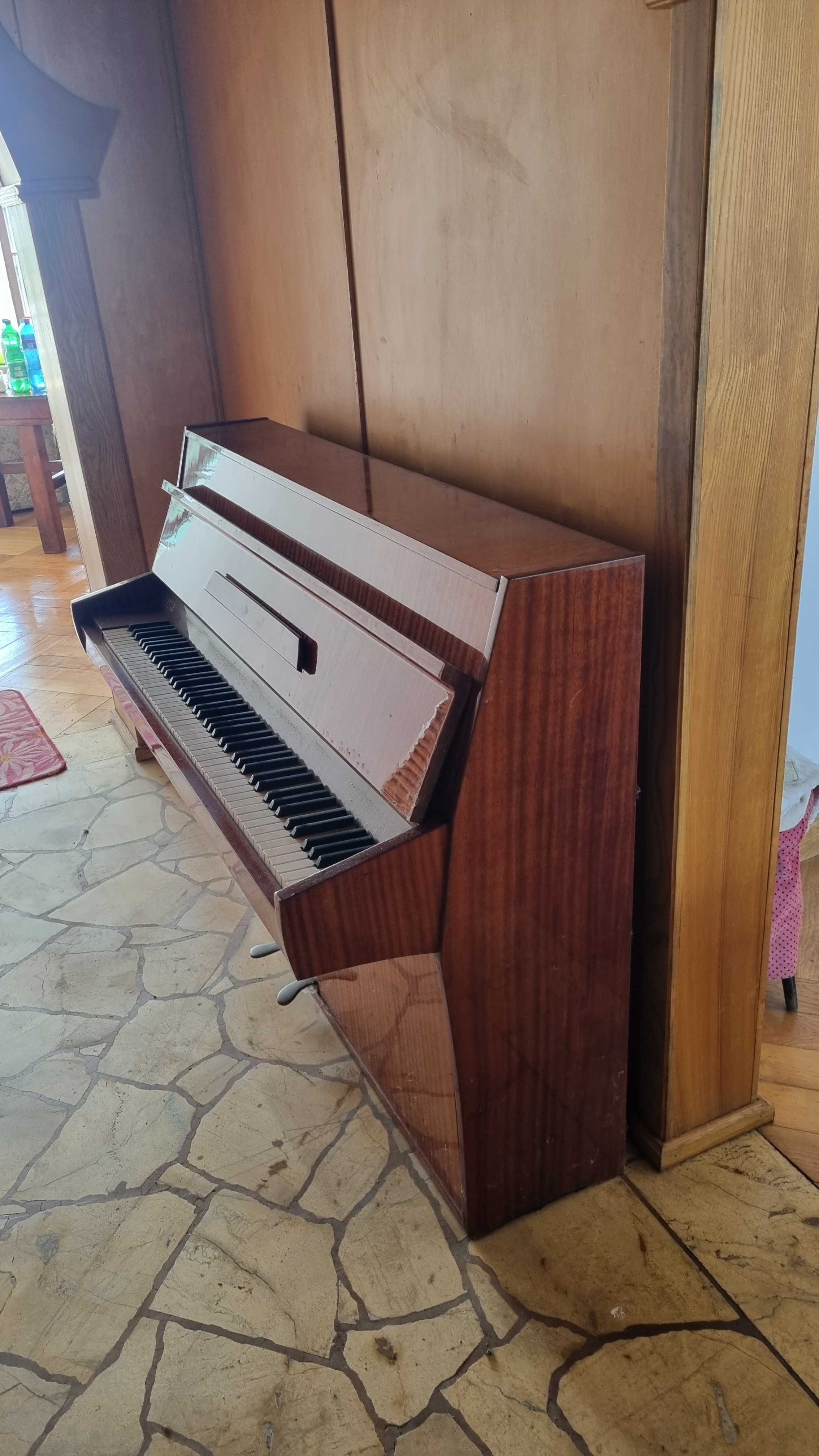 Pianino Calisia do sprzedania