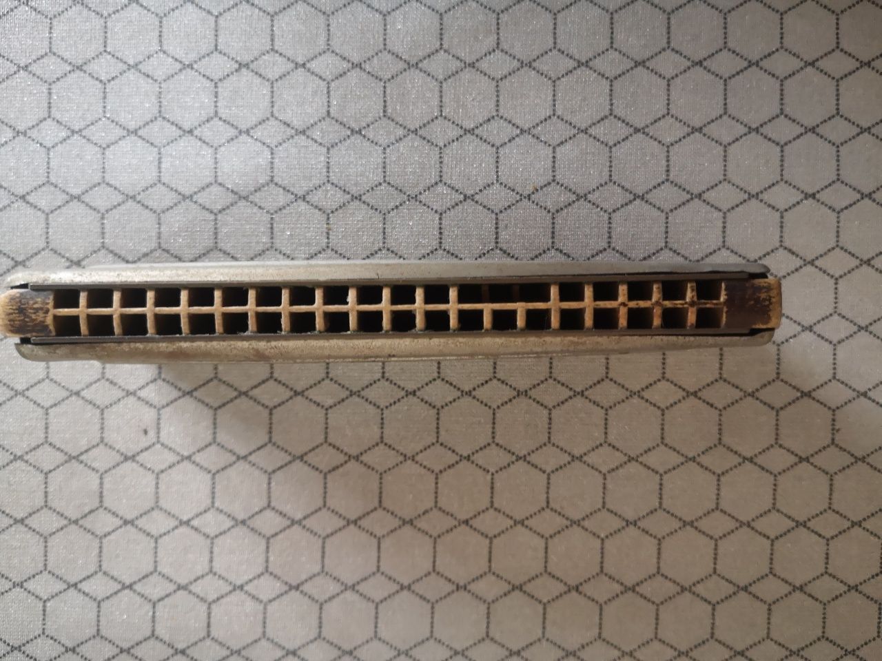 Harmonijka Hohner Echo
