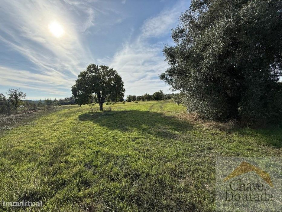 Terreno para moradia isolada ou duas moradias geminadas - 3 minutos...