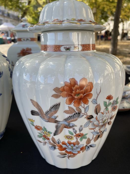 Pote vista alegre magnolia