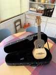 Cavaquinho APC 102 com estojo