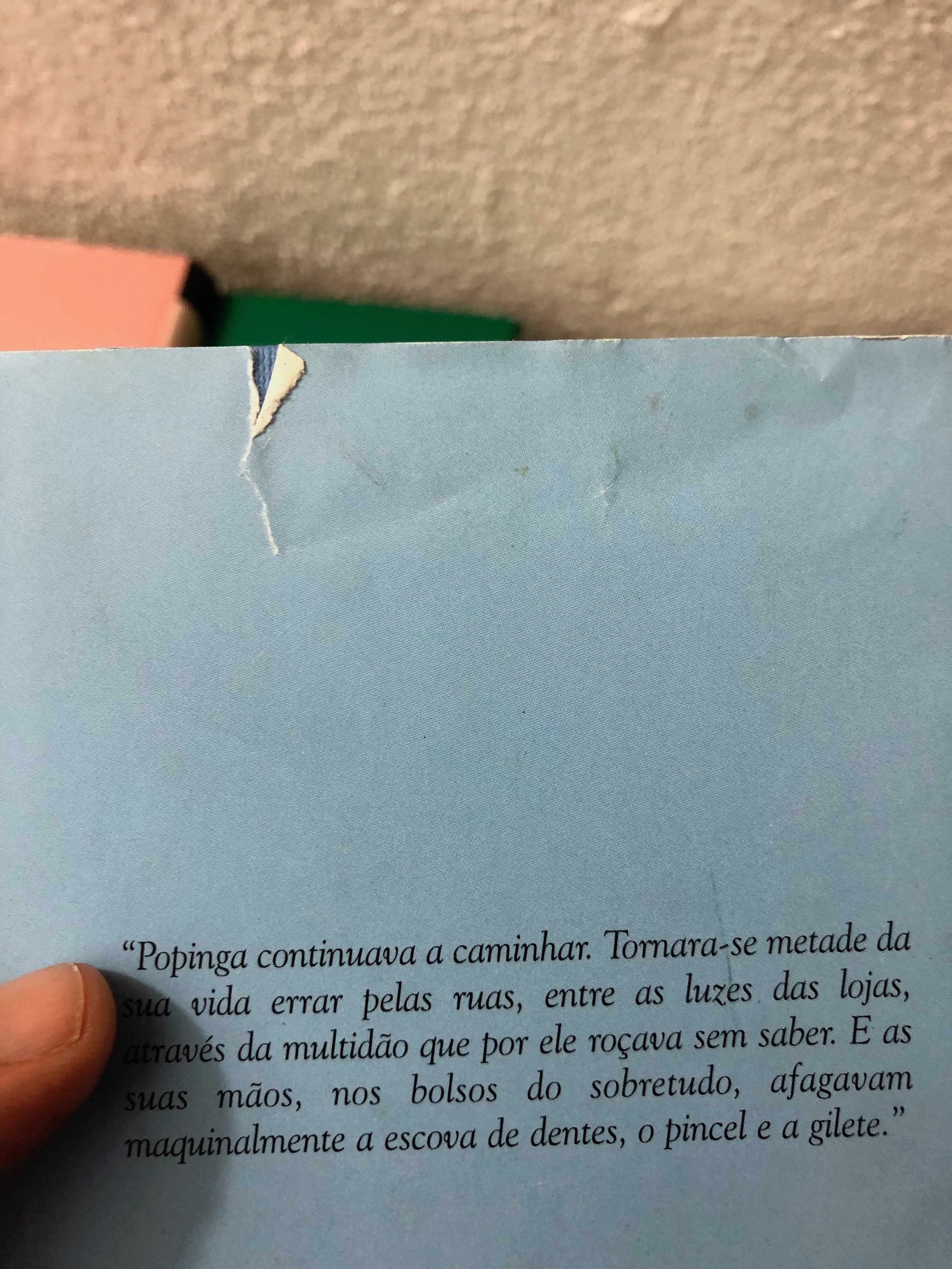 Livros Colecção Mil Folhas Público. Capa dura azul com capa de papel.