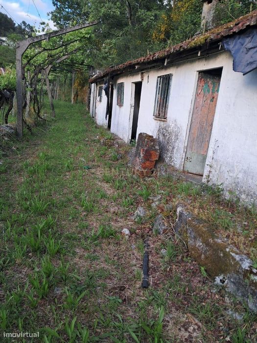 Moradia em Ruinas e terreno com aproximadamente 3600m2 em Constance, M