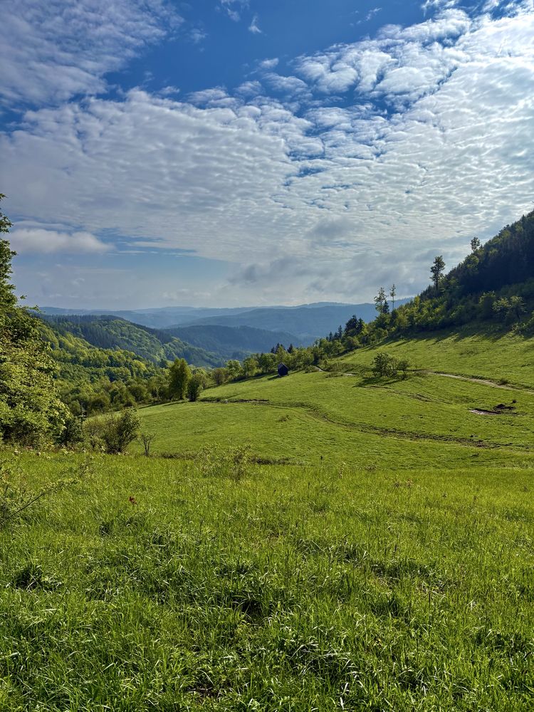 Domek do wynajecia w górach Sowich