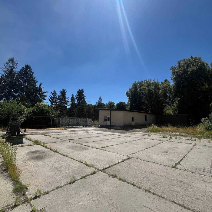 Шпоновий завод на трасі І.Франківськ - Львів