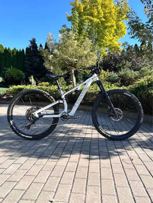 Canyon Neuron Young Hero