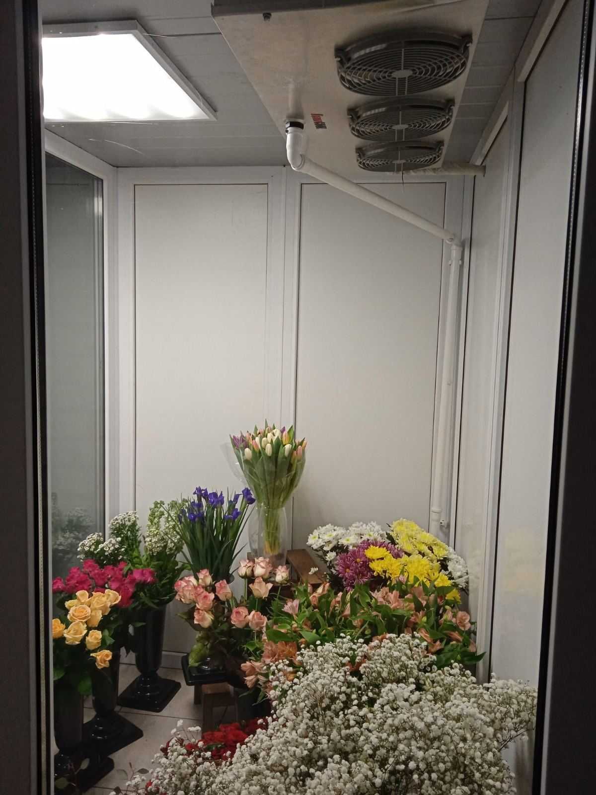 Установка холодильна для збереження квітів камера вітрина Хмельницький