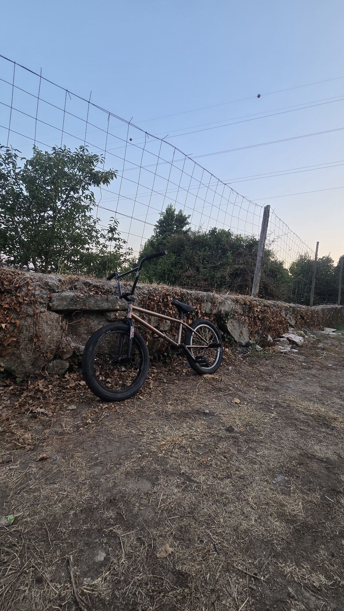 Bicicleta BMX ..