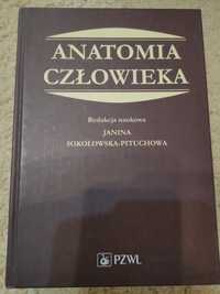 Anatomia człowieka Janina Sokołowska