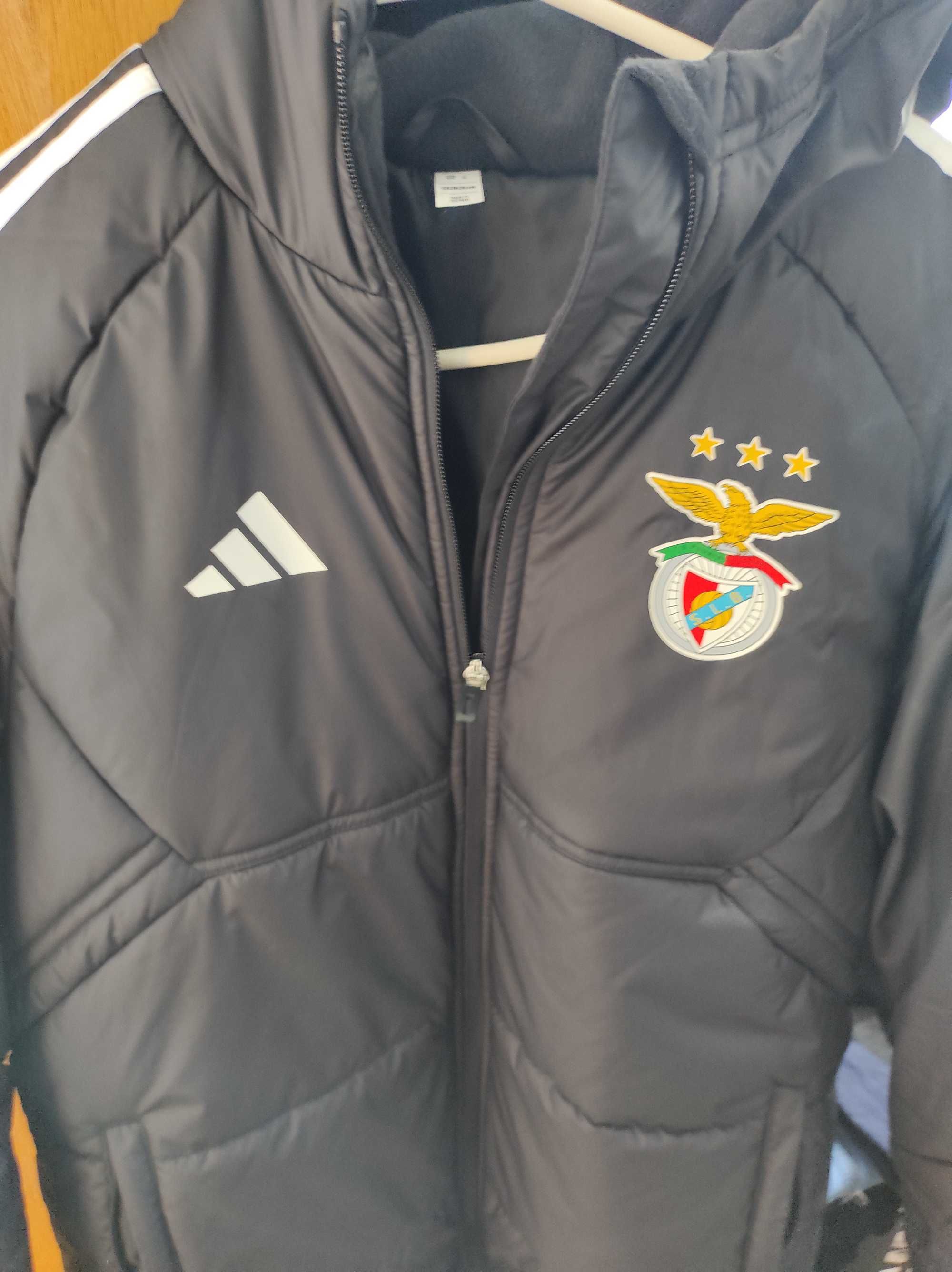 Casaco do Benfica 2024