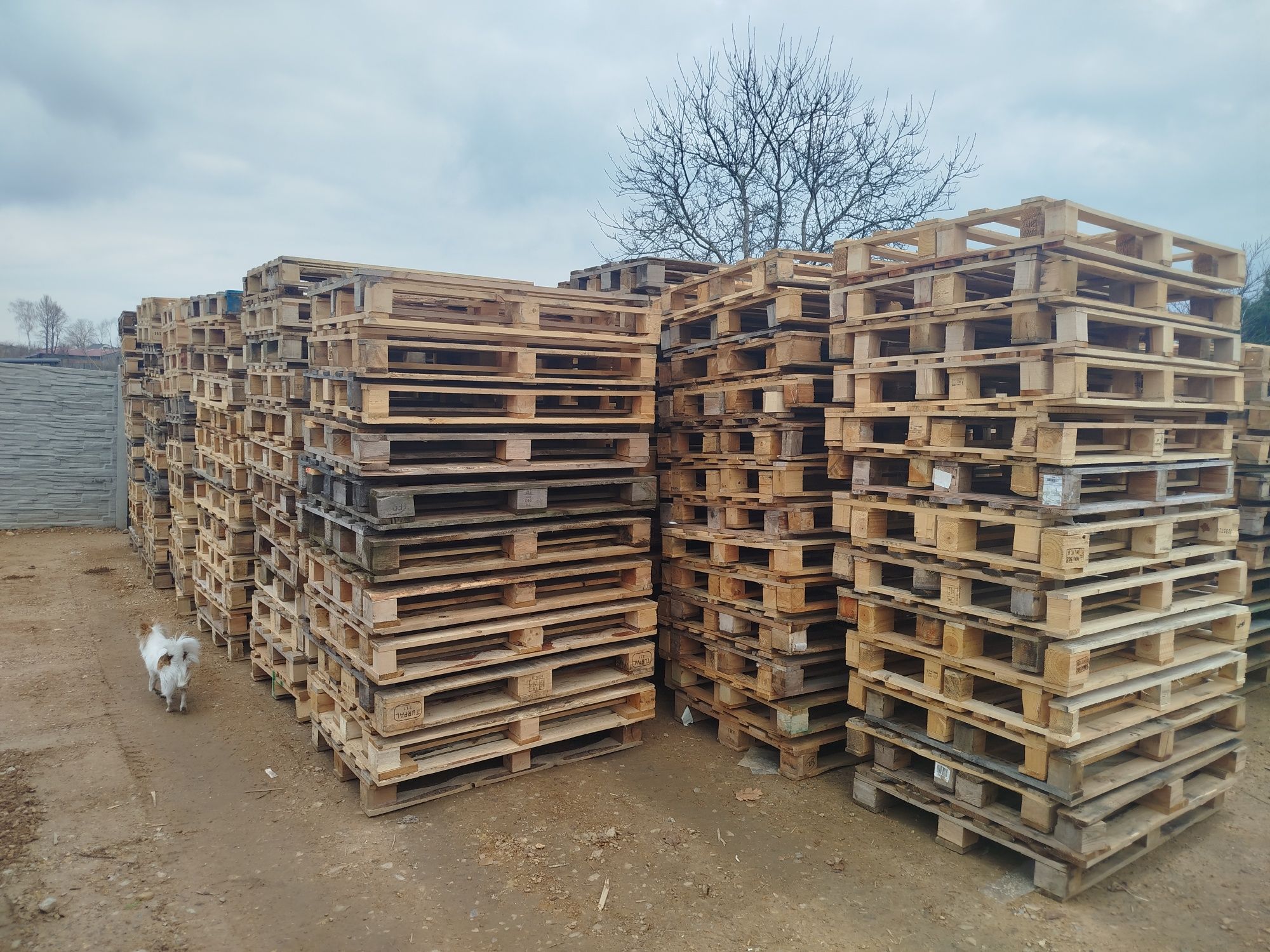 Mobilny skup palet drewnianych