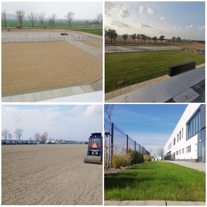 Zakładanie ogrodów, trawników, utrzymanie terenów zielonych